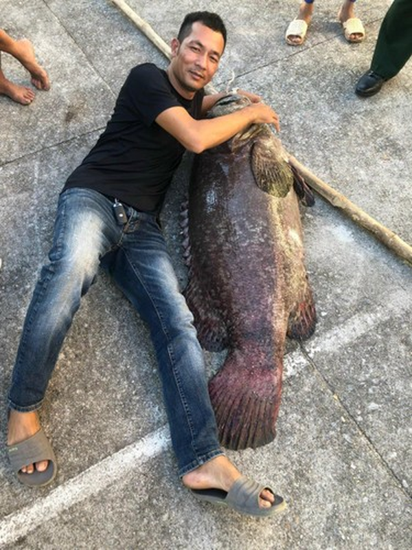 "Quái ngư" cá cờ 200kg và loạt quái ngư khủng sa lưới ngư dân Việt năm 2023- Ảnh 6.