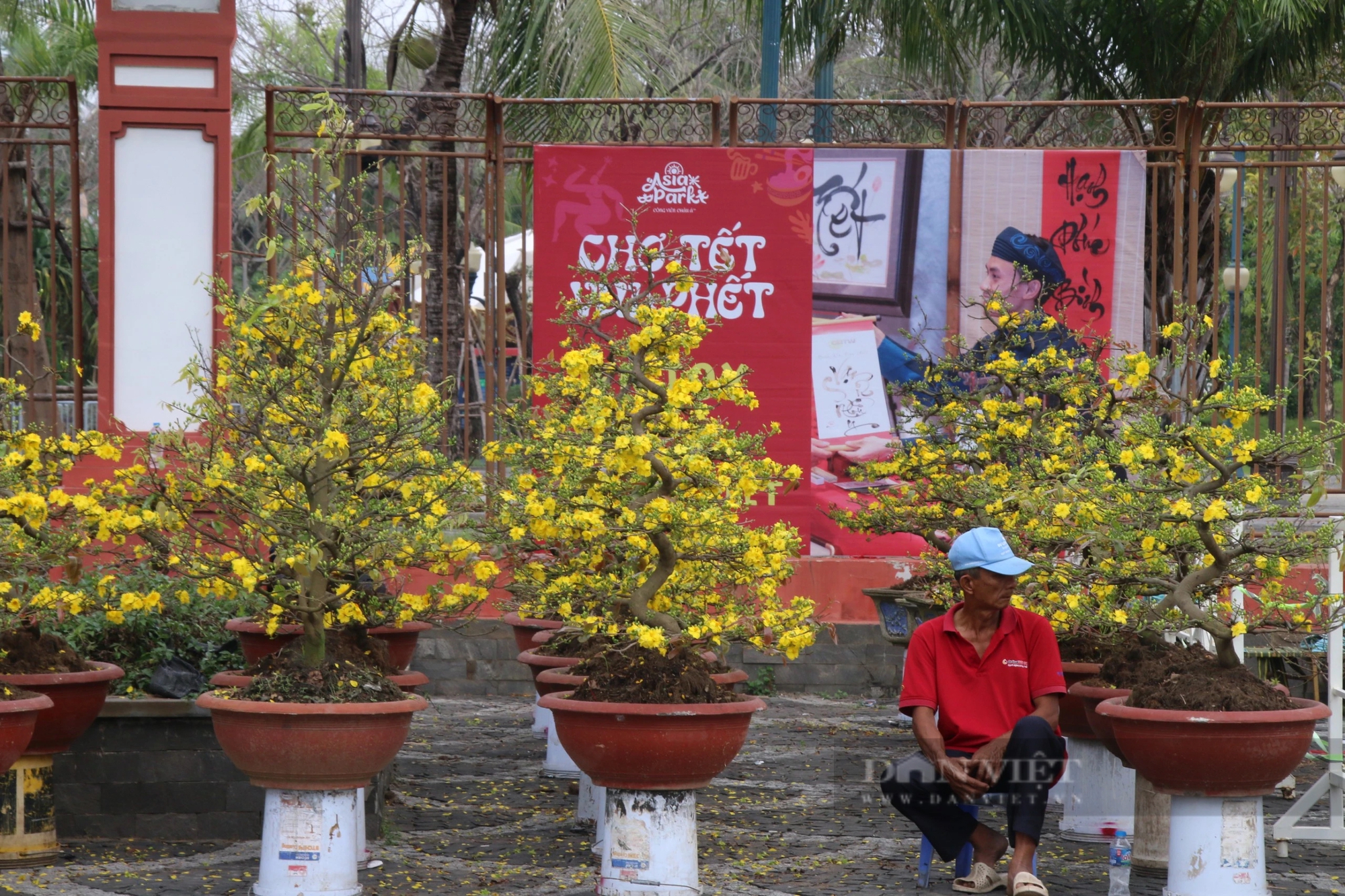 Vắng bóng "thượng đế", tiểu thương tại chợ hoa Xuân Đà Nẵng lo mất Tết- Ảnh 1.