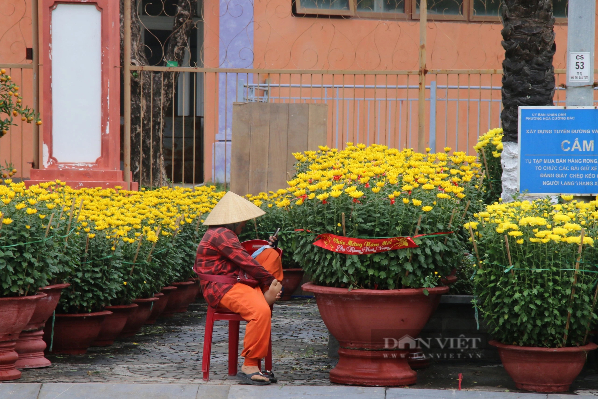 Vắng bóng "thượng đế", tiểu thương tại chợ hoa Xuân Đà Nẵng lo mất Tết- Ảnh 2.