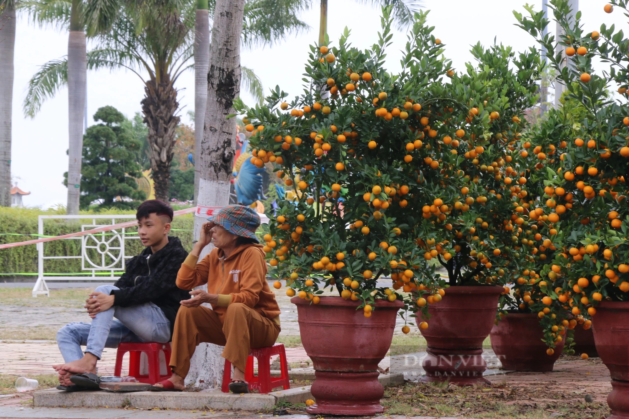 Vắng bóng "thượng đế", tiểu thương tại chợ hoa Xuân Đà Nẵng lo mất Tết- Ảnh 3.