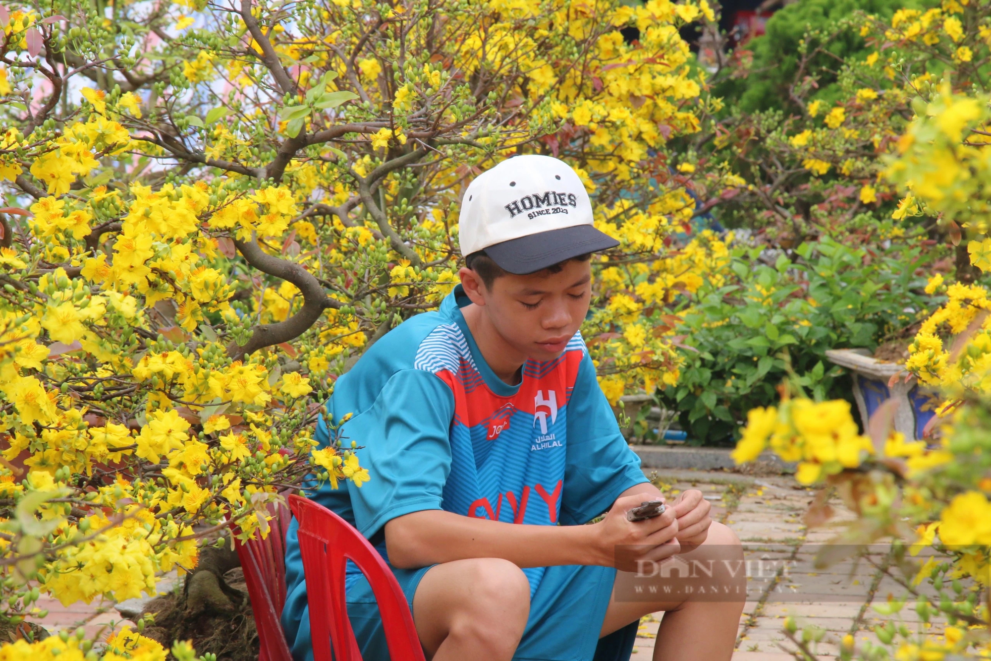 Vắng bóng "thượng đế", tiểu thương tại chợ hoa Xuân Đà Nẵng lo mất Tết- Ảnh 4.