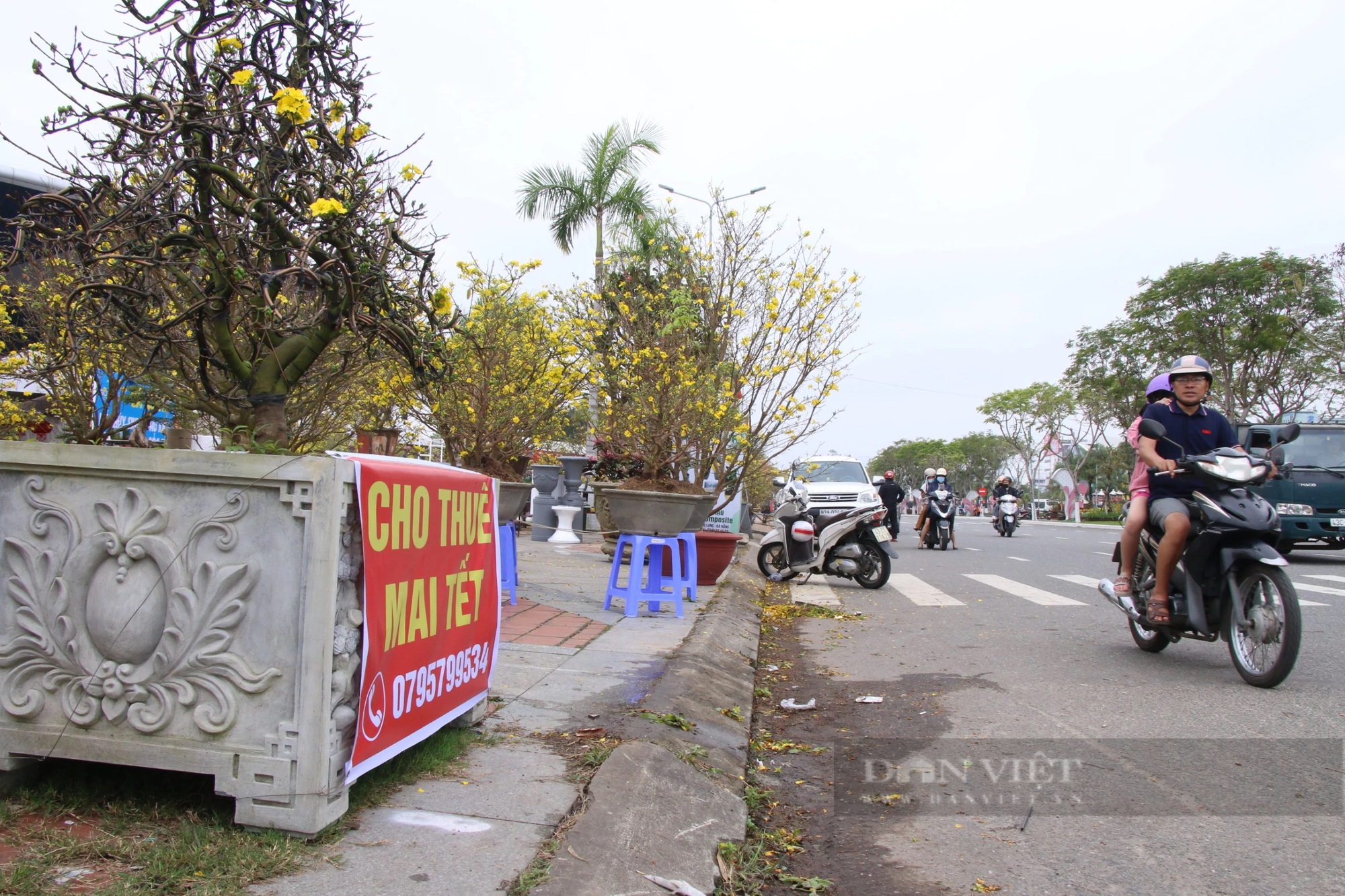 Vắng bóng "thượng đế", tiểu thương tại chợ hoa Xuân Đà Nẵng lo mất Tết- Ảnh 5.