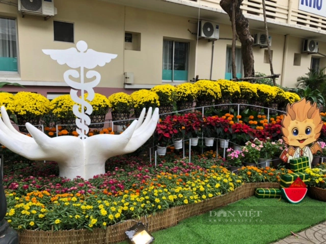 Đem mùa xuân yêu thương vào bệnh viện- Ảnh 6.