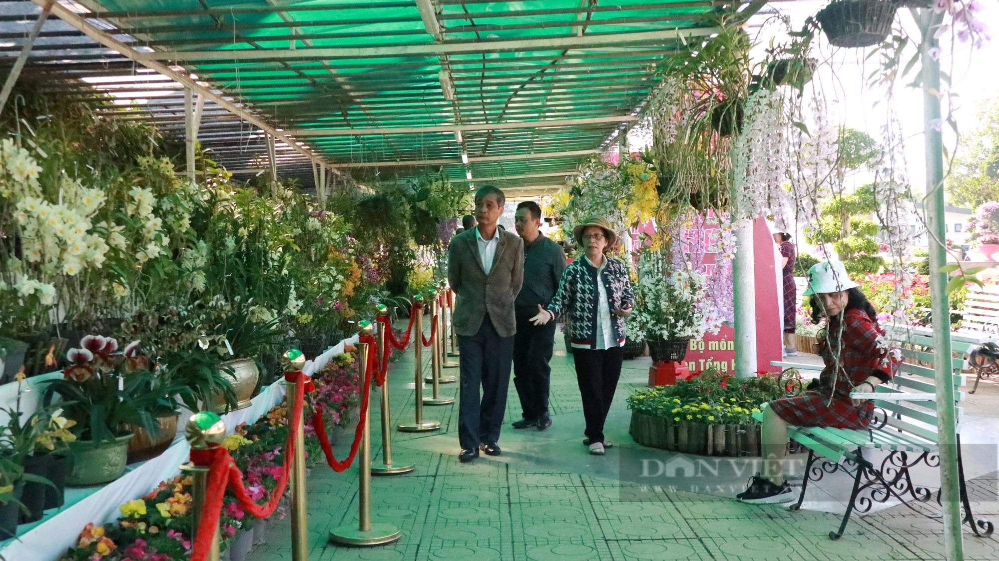 Ngắm thoải mái, chụp hình vô tư những chậu lan rừng tuôn hoa như suối tại Hội hoa xuân Đà Lạt- Ảnh 6.
