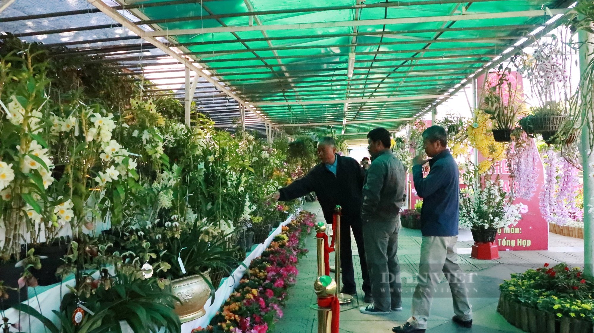 Ngắm thoải mái, chụp hình vô tư những chậu lan rừng tuôn hoa như suối tại Hội hoa xuân Đà Lạt- Ảnh 10.