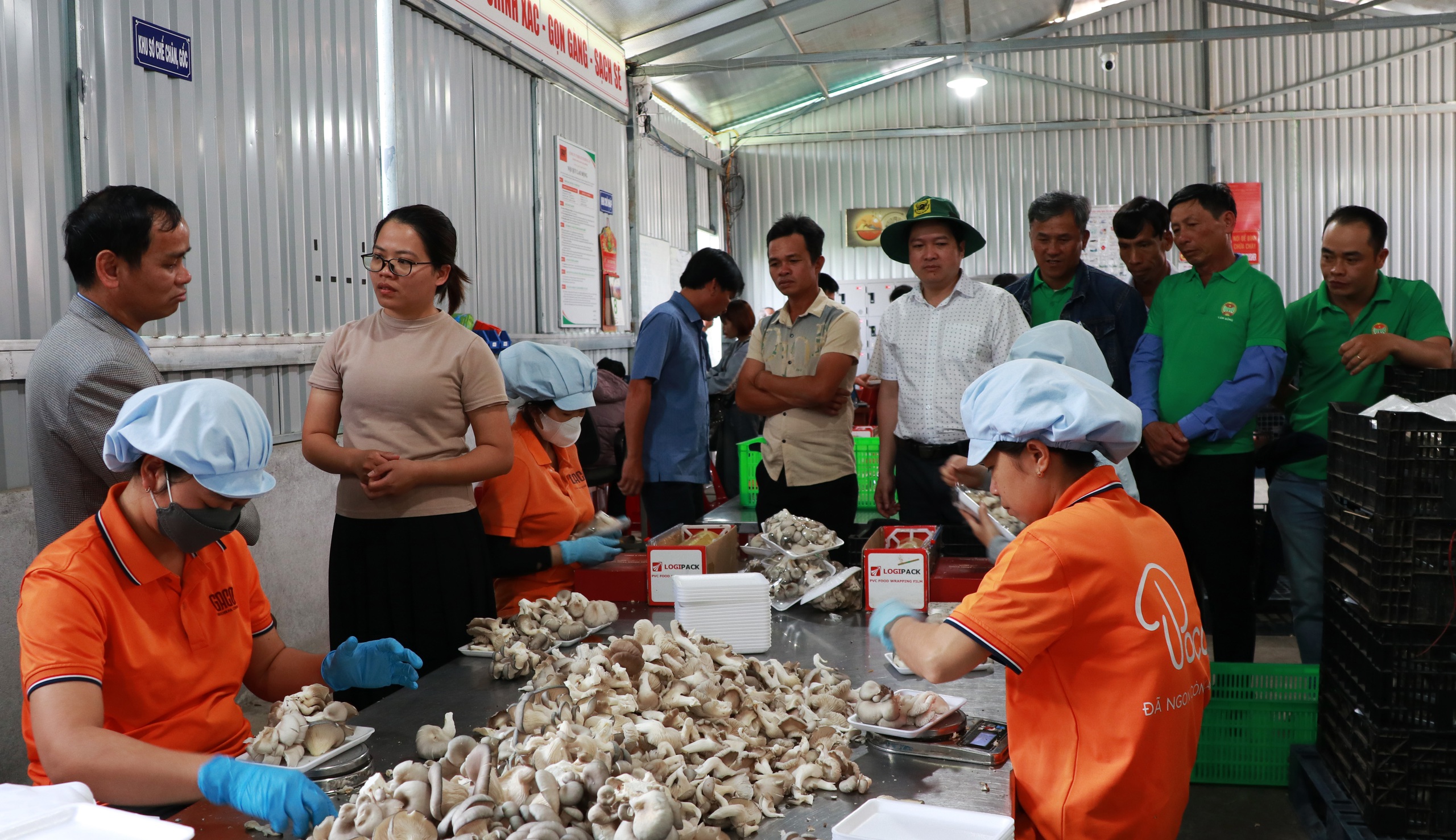 Một cô giám đốc 9X trồng nấm gì mà tạo vô số việc làm, đã thế lại tự trả lương cao cho chính mình?- Ảnh 1.