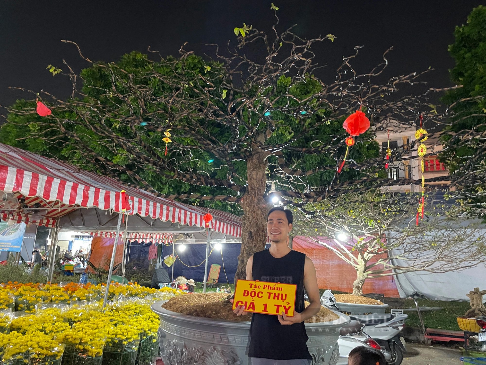 Không phải chợ nhà giàu Phú Mỹ Hưng, cây mai 1 tỷ, “lão” lộc vừng dài 8m ở đây khiến ai cũng trầm trồ- Ảnh 1.