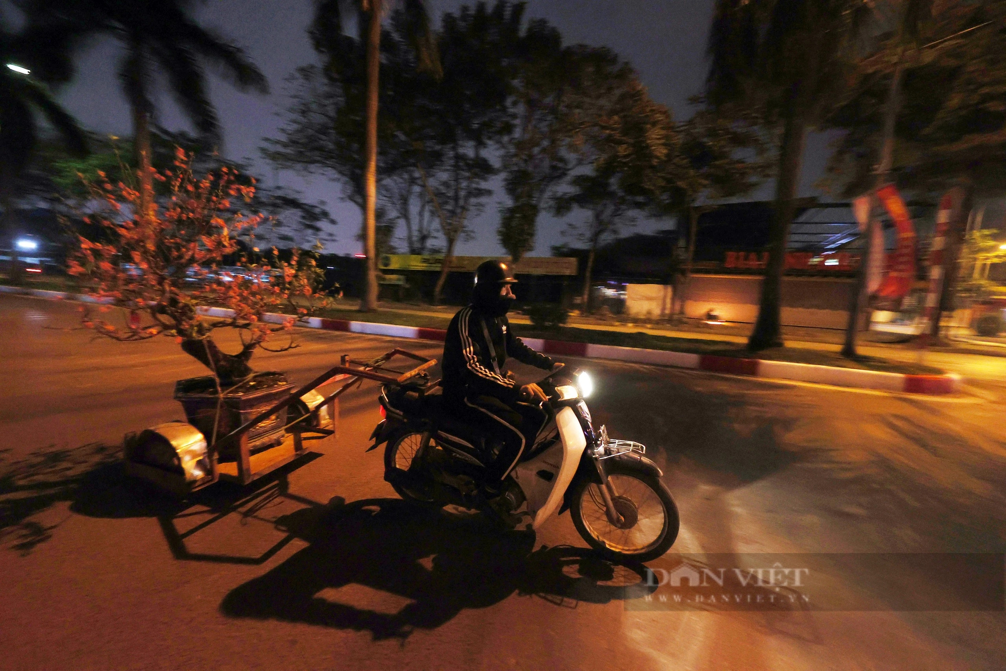 Đêm Hà Nội lạnh 12 độ C, đường phố vắng vẻ, người bán đào quất giảm giá một nửa- Ảnh 14.