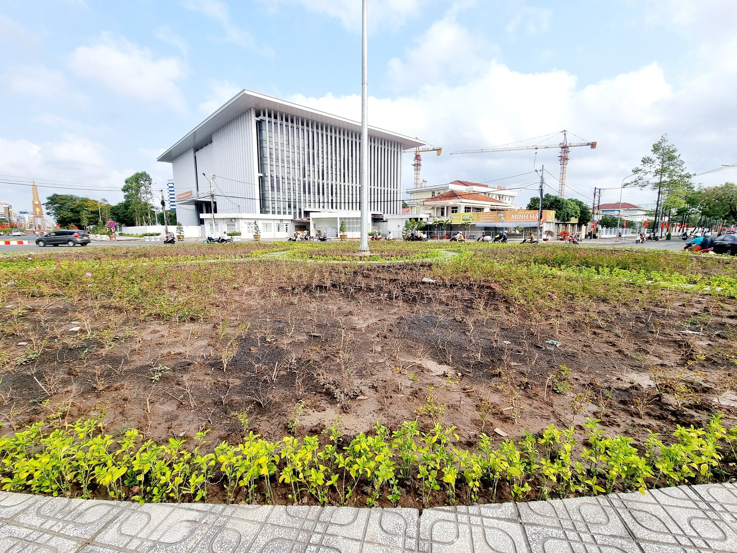 Hoa trồng tại vòng xoay trung tâm TP.Cà Mau khô héo- Ảnh 1.