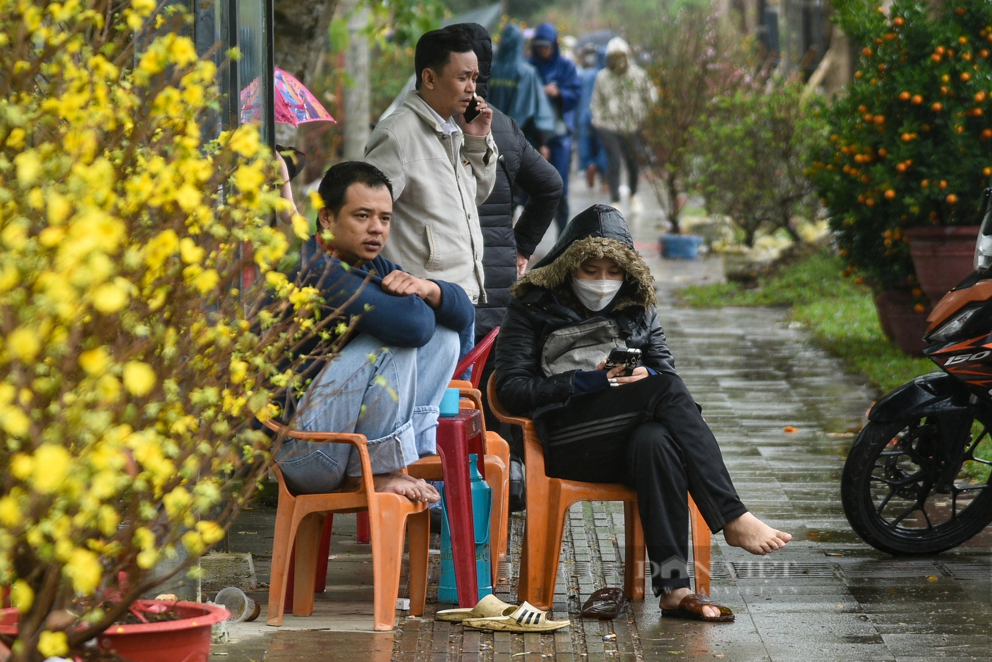 Người dân xứ Huế "đội mưa" săn cây cảnh hạ giá trong ngày 30 Tết- Ảnh 4.