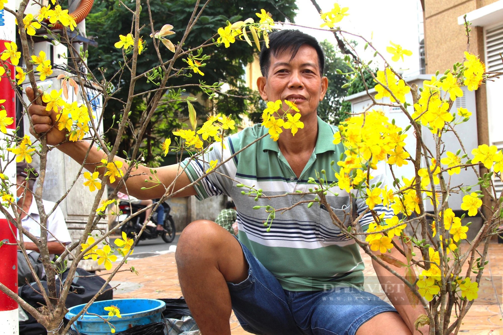TP. Cần Thơ: Cành mai vàng rộn ràng xuống phố trước đêm giao thừa- Ảnh 8.
