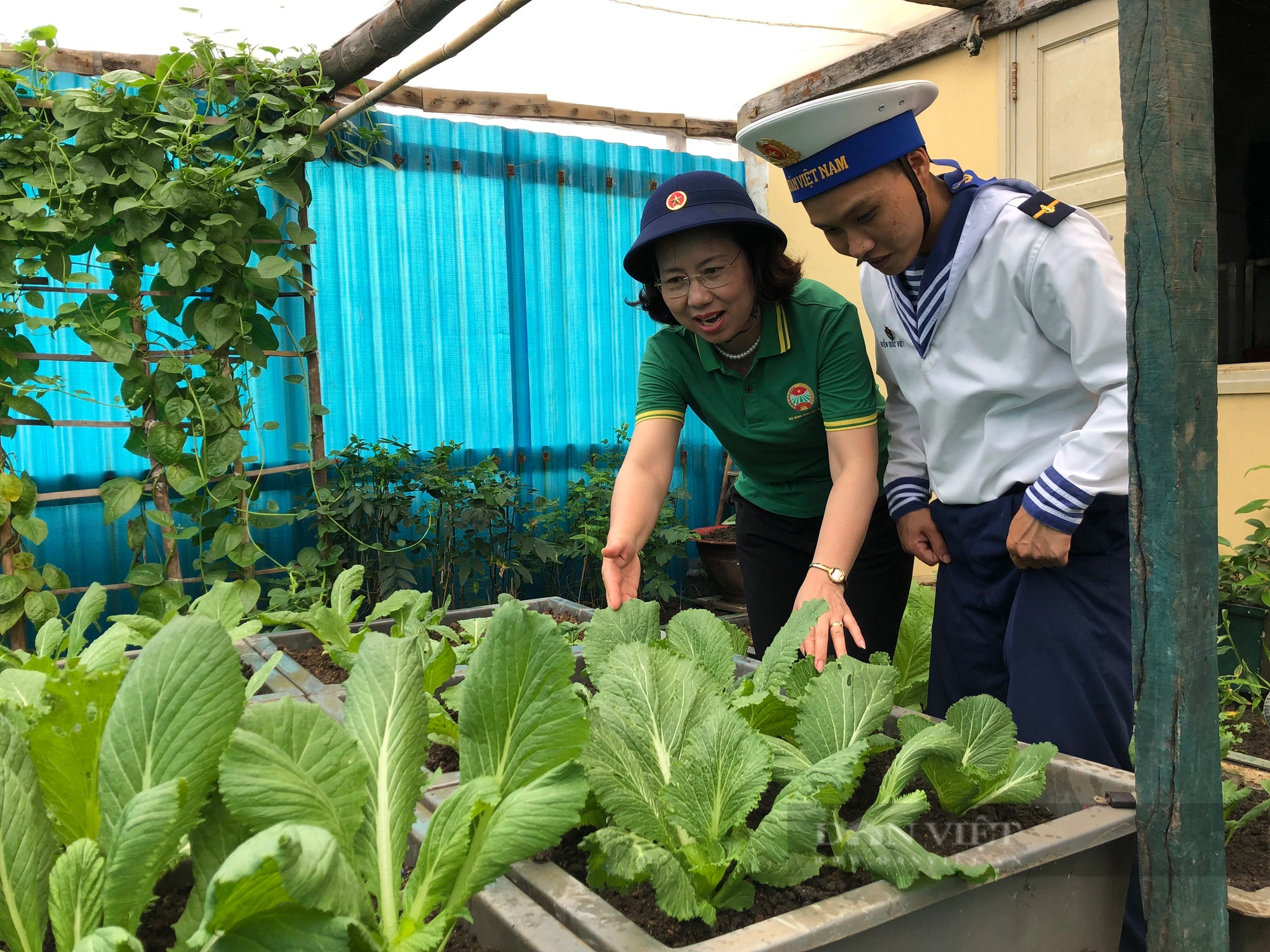Những "nông dân" nuôi, trồng trên Biển Đông giúp Trường Sa, vùng nhà giàn DK1 thêm xanh- Ảnh 2.