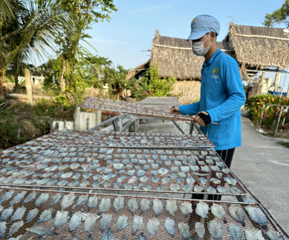 Đặc sản tôm xẻ, tôm lụi Cà Mau "cháy" hàng dịp Tết- Ảnh 1.