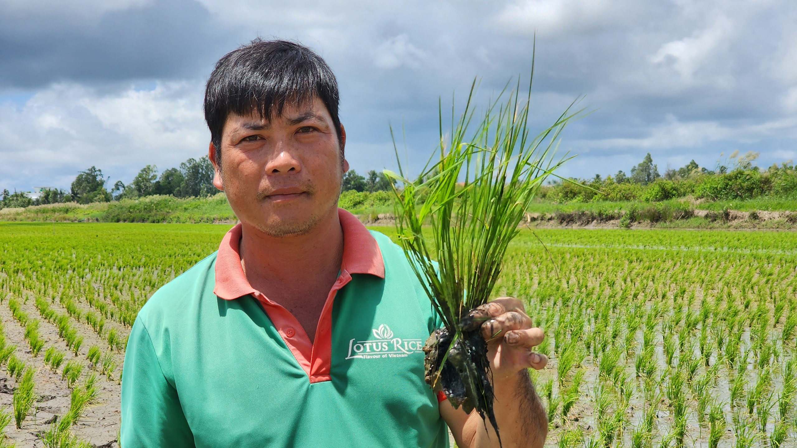 Khi con tôm và cây lúa về sống chung một nhà- Ảnh 2.