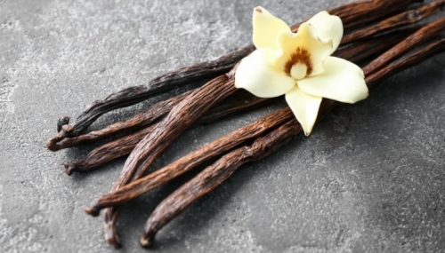 Loại gia vị này đắt nhất thế giới, giá 15 triệu đồng/kg, Việt Nam đã trồng được, nghe tên ai cũng tò mò- Ảnh 2. Loại gia vị này đắt nhất thế giới, giá 15 triệu đồng/kg, Việt Nam đã trồng được, nghe tên ai cũng tò mò- Ảnh 2.