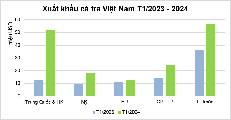 Xuất khẩu cá tra tăng gần gấp đôi, đạt 165 triệu USD trong tháng 1/2024- Ảnh 1.