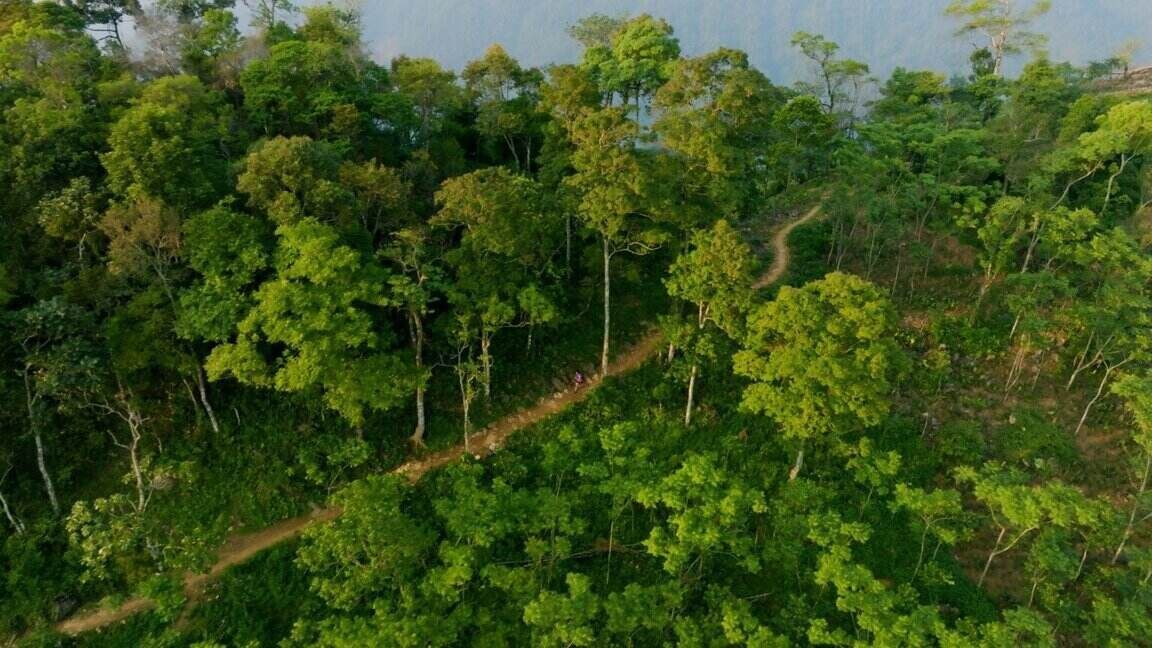 Giải Việt Nam Siêu Marathon 2024 - kỳ vọng quảng bá hình ảnh du lịch Mai Châu- Ảnh 2. Giải Việt Nam Siêu Marathon 2024 - kỳ vọng quảng bá hình ảnh du lịch Mai Châu- Ảnh 2.