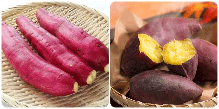 Điều gì sẽ xảy ra nếu sáng nào bạn cũng ăn khoai lang luộc?- Ảnh 1. Điều gì sẽ xảy ra nếu sáng nào bạn cũng ăn khoai lang luộc?- Ảnh 1.