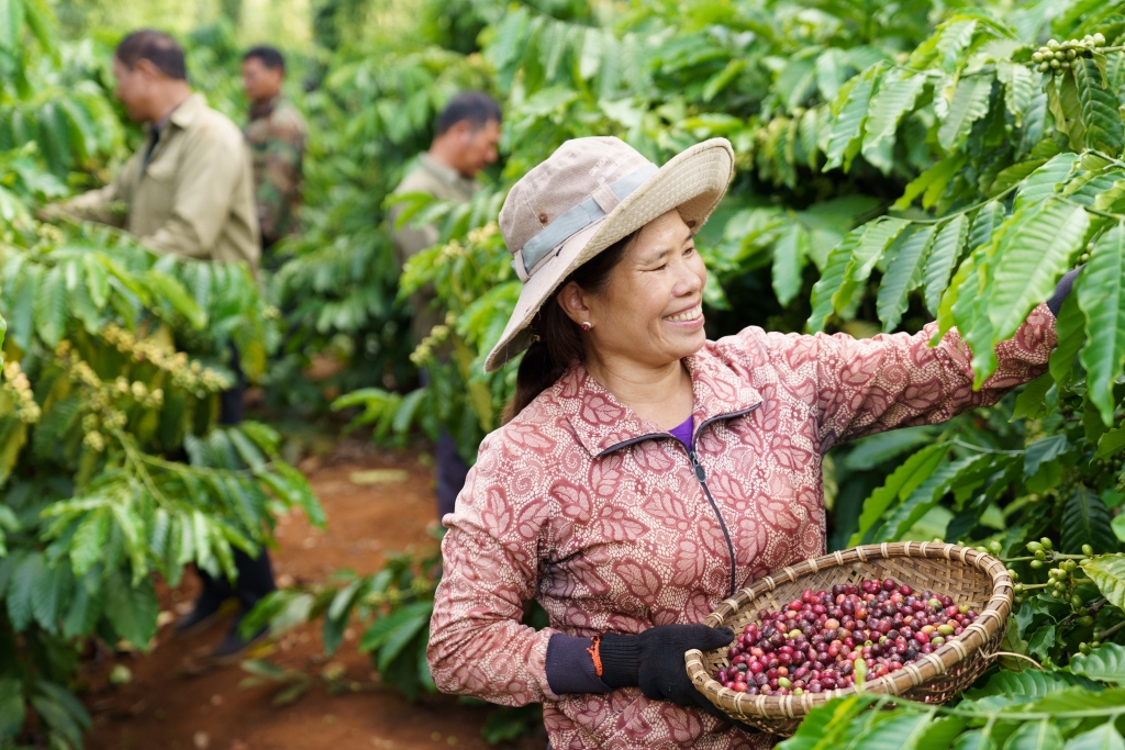 Bất ngờ với thứ hạng xuất khẩu cà phê chế biến, "ông lớn" Nestlé chỉ về thứ 3- Ảnh 3.