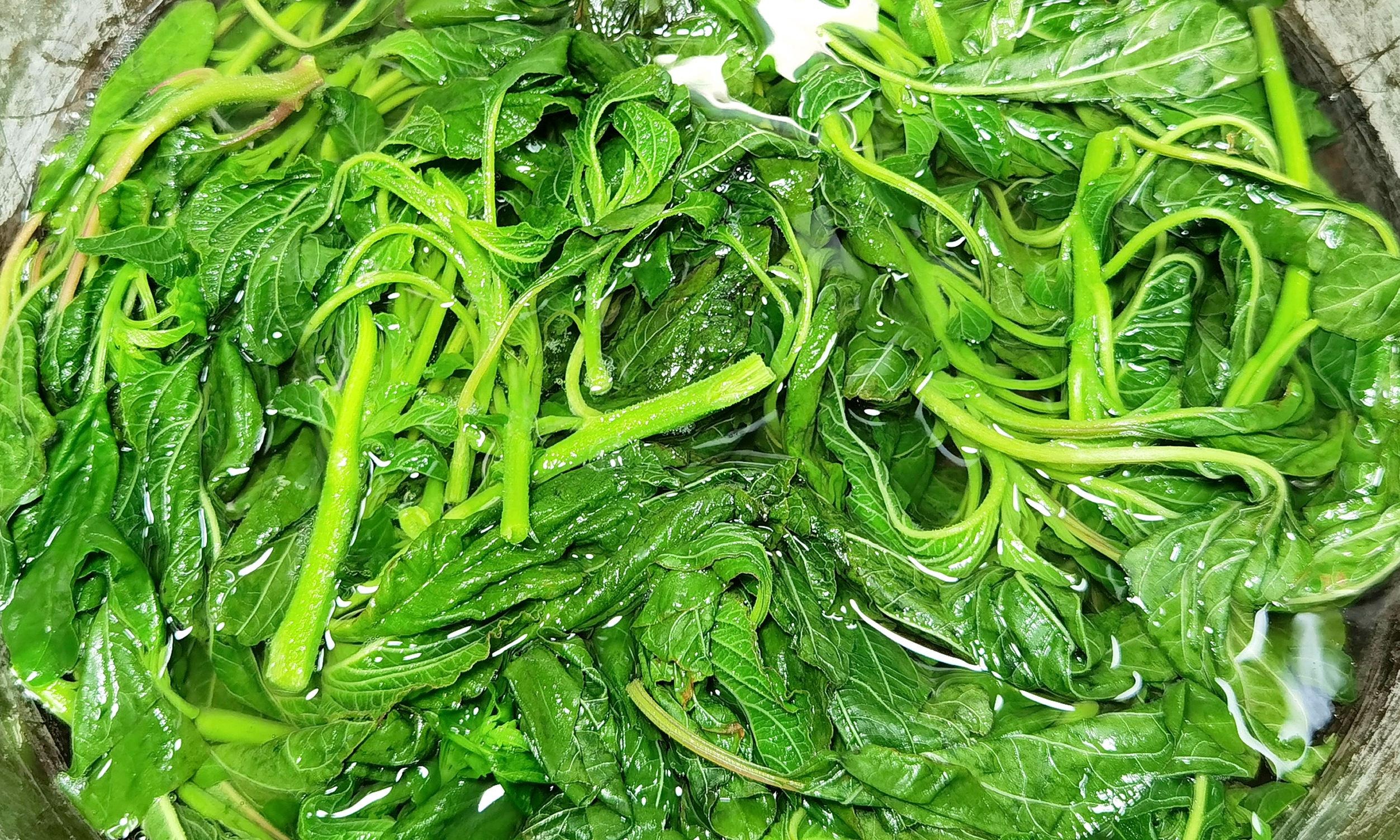 Loại rau lộc trời, canxi gấp 3 lần trứng, báu vật cho cơ thể, trộn nộm ăn vừa mát vừa bổ- Ảnh 4.