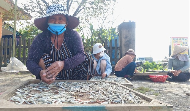 Chuyện lạ Quảng Trị, sao dân xã ven biển này cứ phải "chạy" cả trăm km lên vùng biên giới chỉ để phơi cá?- Ảnh 4.