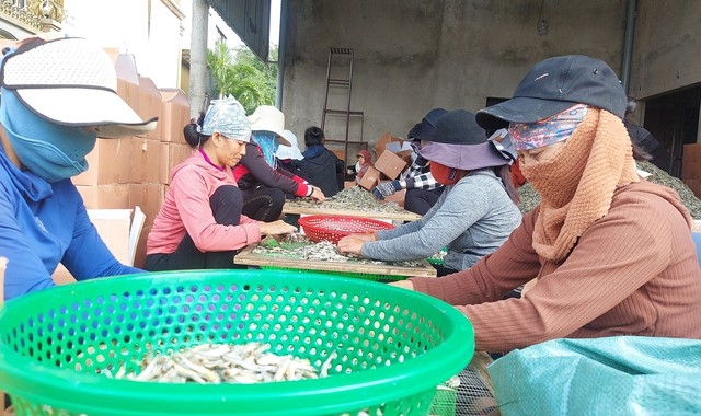 Chuyện lạ Quảng Trị, sao dân xã ven biển này cứ phải "chạy" cả trăm km lên vùng biên giới chỉ để phơi cá?- Ảnh 6.