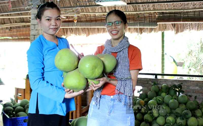 Ông Năm Huệ mở khu du lịch để bán thức ăn và những trái bưởi ngon đạt chuẩn cho du khách tới vui chơi. Ảnh: Trần Khánh