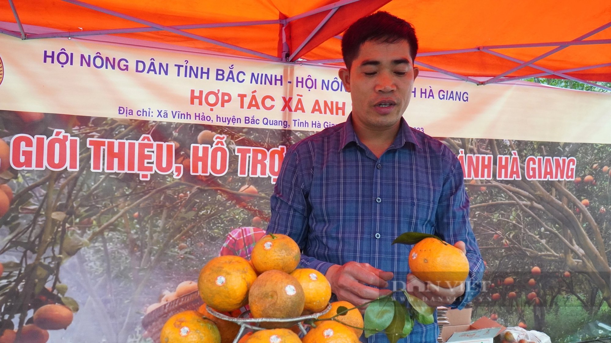 Hội Nông dân tỉnh Bắc Ninh hỗ trợ quảng bá, tiêu thụ cam sành Hà Giang- Ảnh 2.