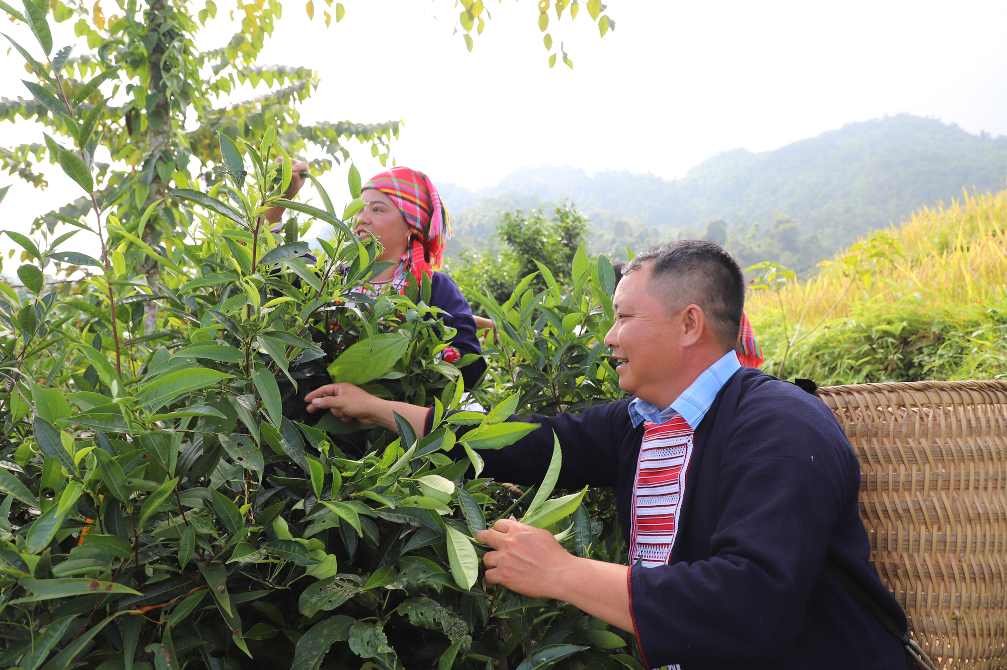 T.Ư Hội Nông dân Việt Nam ban hành công văn thực hiện công tác dân tộc, tôn giáo quốc phòng, an ninh năm 2024- Ảnh 1.