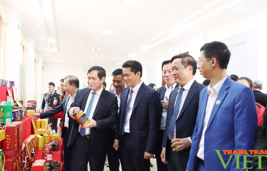 Hội nghị báo cáo viên Trung ương: Cơ hội để 63 tỉnh thành cả nước học hỏi, trao đổi kinh nghiệm thực tiễn- Ảnh 7.