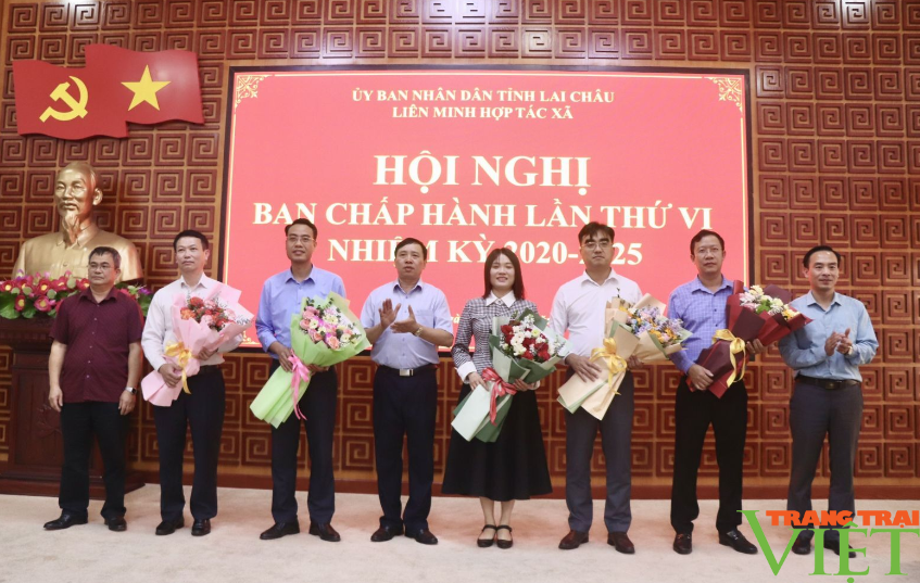 Liên minh Hợp tác xã Lai Châu: Hội nghị Ban Chấp hành lần thứ VI, nhiệm kỳ 2020 – 2025- Ảnh 1. Liên minh Hợp tác xã Lai Châu: Hội nghị Ban Chấp hành lần thứ VI, nhiệm kỳ 2020 – 2025- Ảnh 1.