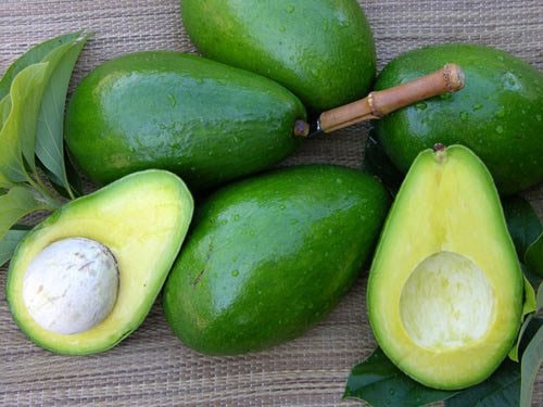 Đây là lý do chúng ta nên ăn chuối, táo, bơ thường xuyên- Ảnh 2. Đây là lý do chúng ta nên ăn chuối, táo, bơ thường xuyên- Ảnh 2.