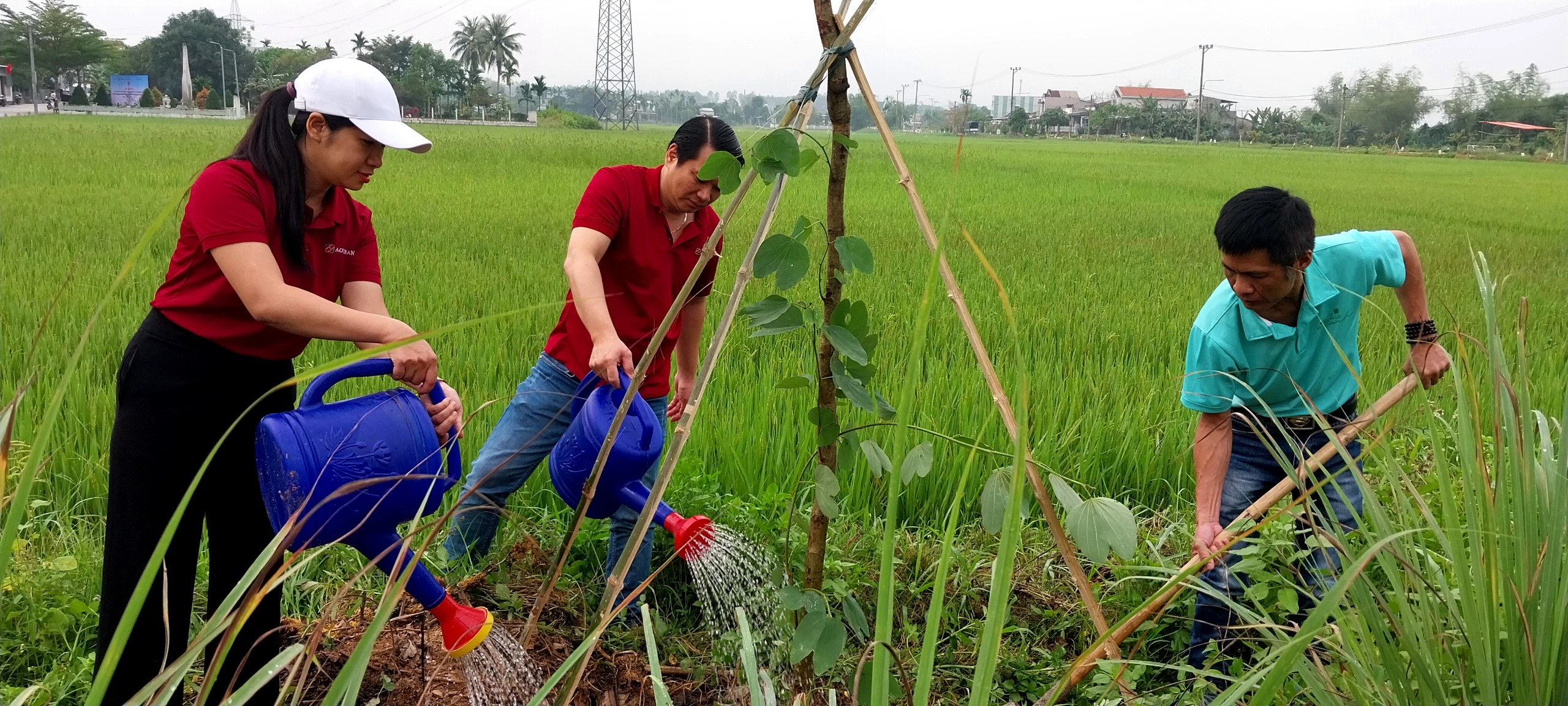 Agribank miền Trung hưởng ứng phong trào "Tết trồng cây đời đời nhớ ơn Bác Hồ” năm 2024- Ảnh 4.