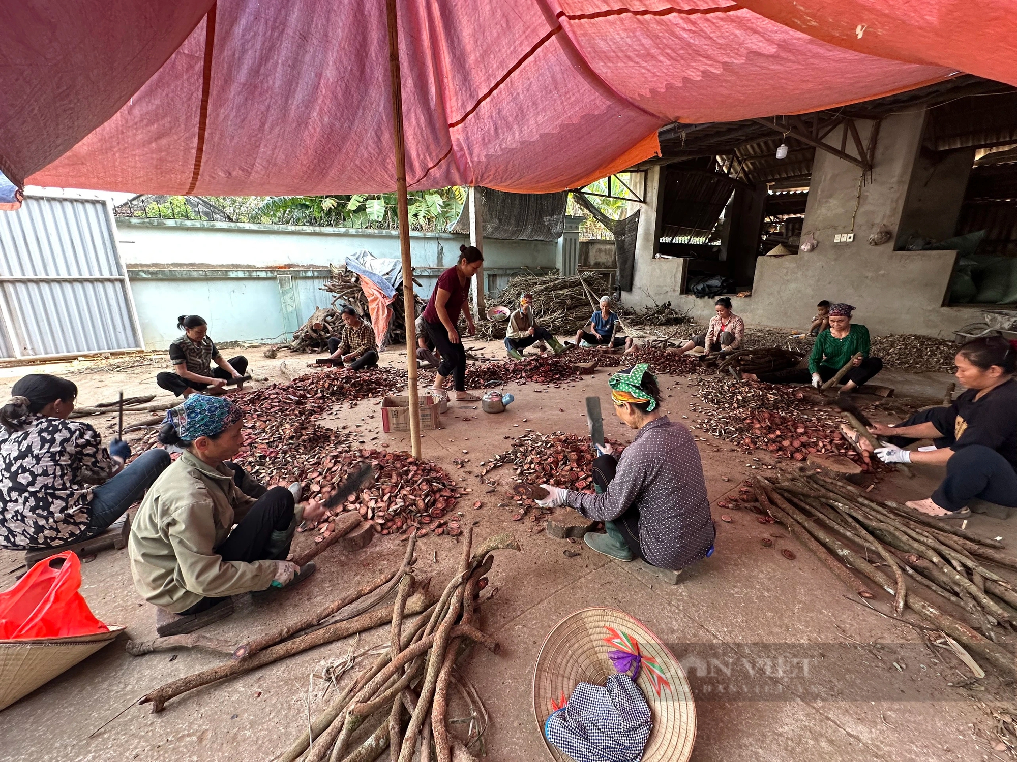 Một lương y ở Hòa Bình nổi tiếng về chữa bệnh gan, bệnh thận còn sở hữu hơn 300 loài dược liệu quý hiếm- Ảnh 5.