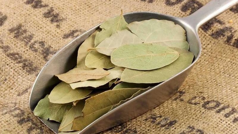 Loại lá thơm dân dã ở Việt Nam lại bổ dưỡng như nhân sâm, ra nước ngoài giá đắt đỏ, đó là lá gì?- Ảnh 3.