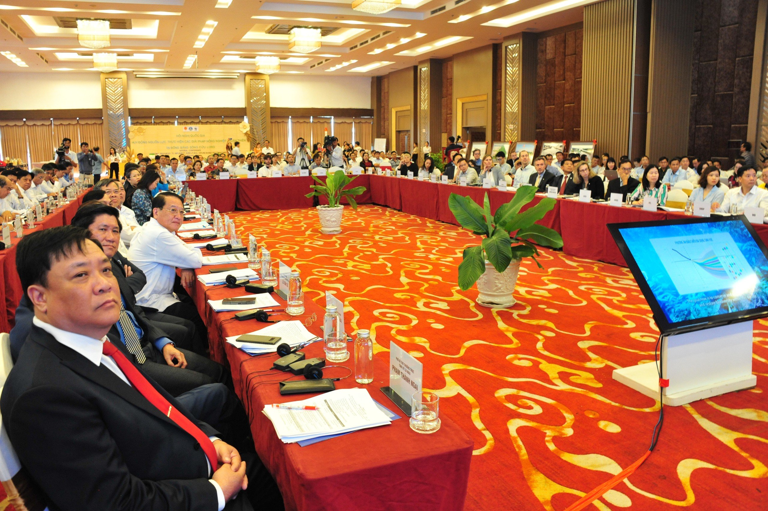 Sản xuất nông nghiệp thuận thiên ở ĐBSCL, chuyên gia đề xuất giải pháp phục hồi mùa lũ- Ảnh 2.