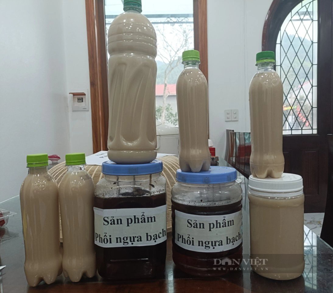 Nấu một thứ cao ăn vào tăng cường sức khoẻ, người đàn ông Thái Nguyên bán 800.000-1.000.000 đồng/lạng- Ảnh 4.