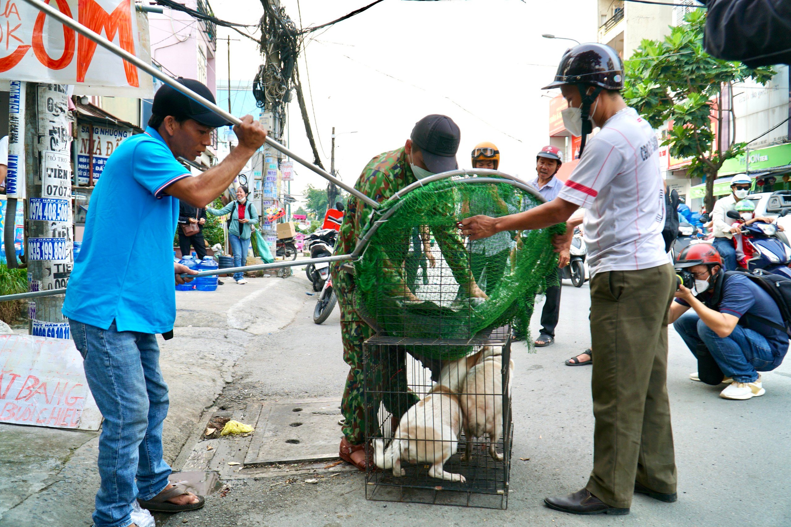 TP.HCM: Nuôi chó, mèo phải đăng ký, hạn chế nuôi loài chó to, hung dữ- Ảnh 3.