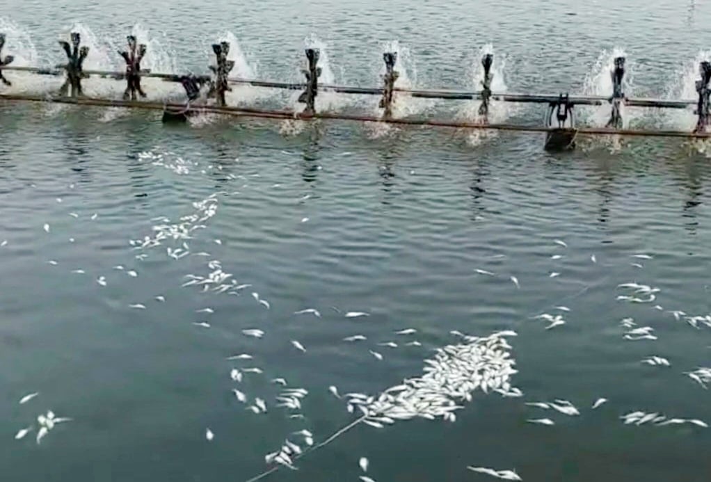 TIN NÓNG 24 GIỜ QUA: Hỗn chiến "vì tình" trên phố đi bộ; "thông chốt", tông trung tá công an nhập viện- Ảnh 6.