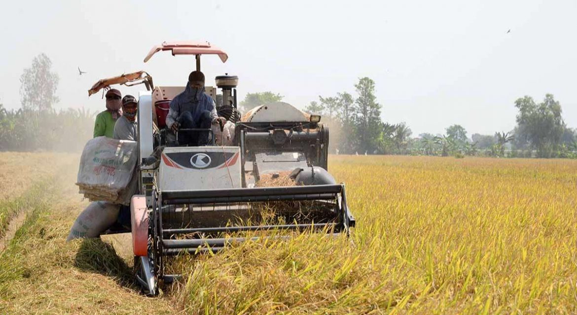 Dự báo nhập khẩu gạo của Philippines năm 2024 có thể đạt tới 4,5 triệu tấn- Ảnh 1.