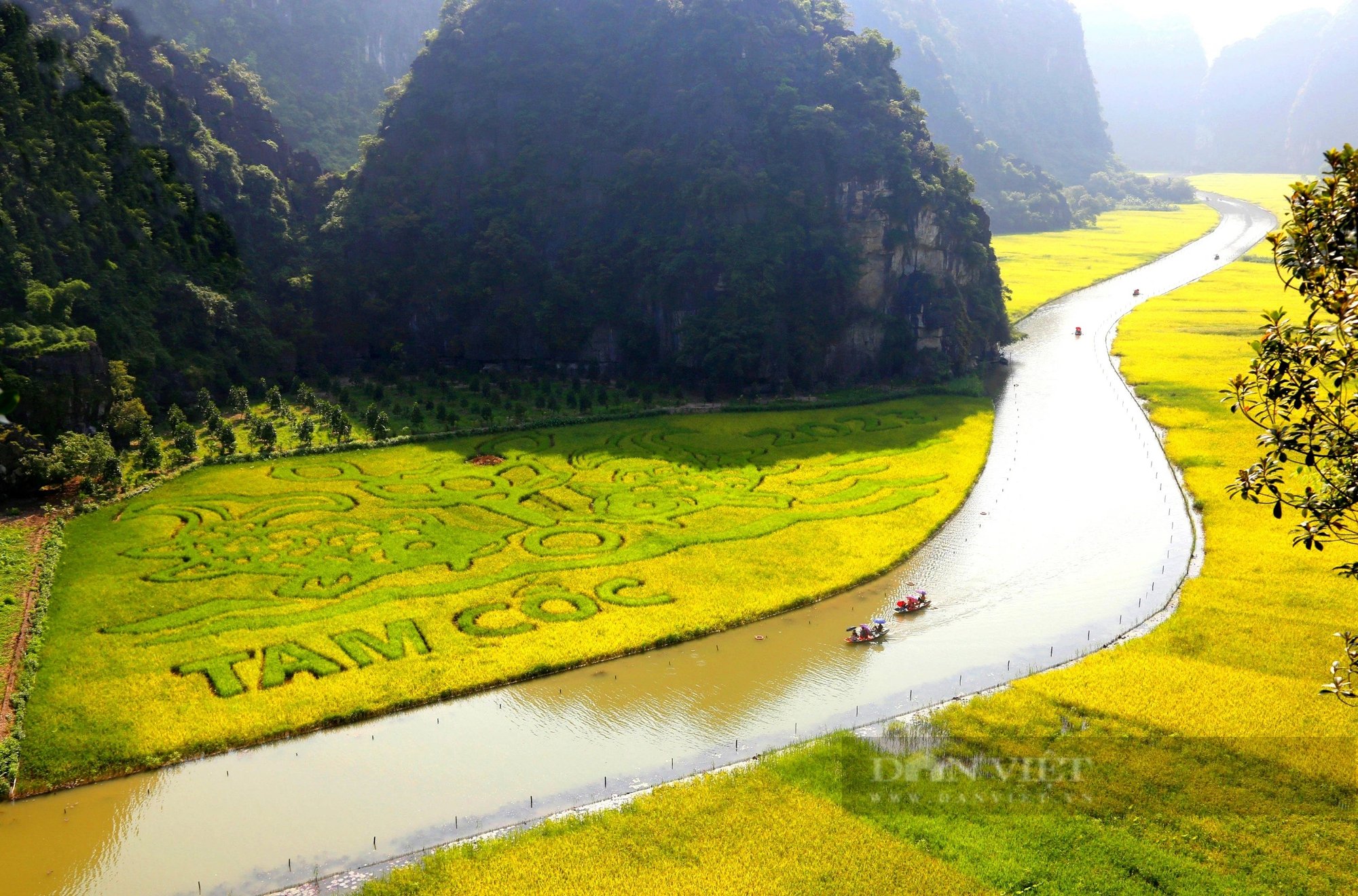 Lần đầu tiên, Ninh Bình tổ chức hội thi chọi cho con vật được nông dân tỉnh này nuôi nhiều- Ảnh 3.