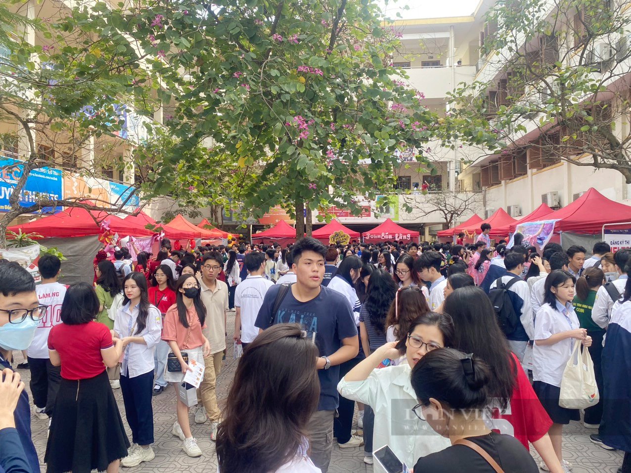 Học sinh Hà Nội trúng tuyển sớm trường "hot" vẫn hào hứng tham gia hướng nghiệp để thêm cơ hội - Ảnh 1.