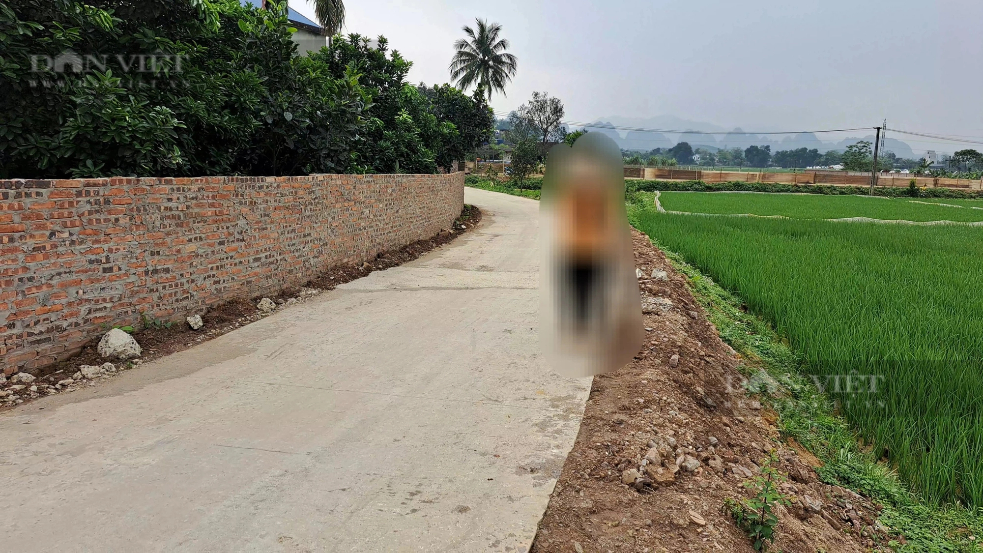 Đường bê tông không đúng thiết kế ở Lương Sơn (Hòa Bình): Sau khắc phục, vẫn còn đoạn tuyến chưa đảm bảo điều kiện- Ảnh 5.