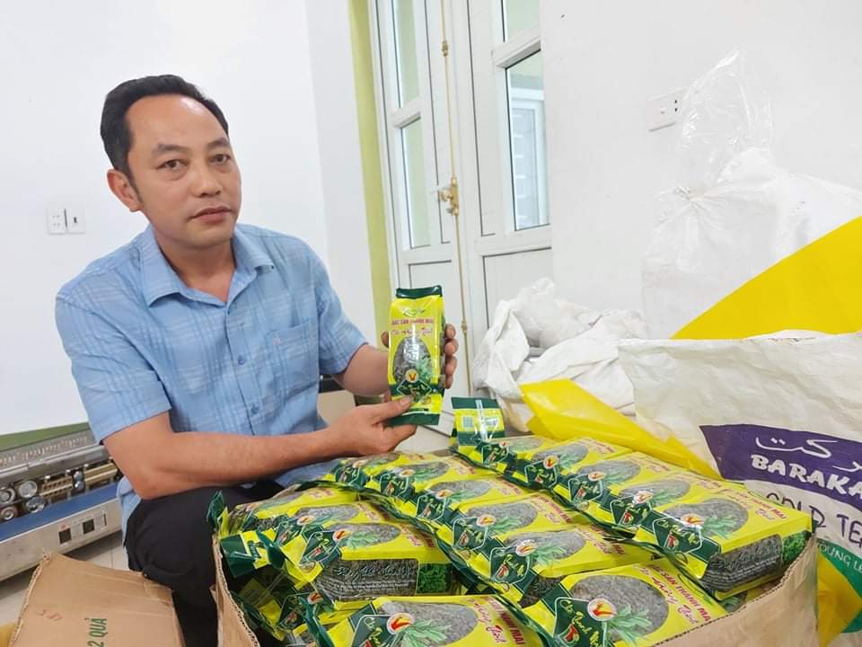 Xây dựng thành công mô hình kinh tế tập thể giúp nông dân Nghệ An liên kết sản xuất, thu nhập tăng  - Ảnh 4.