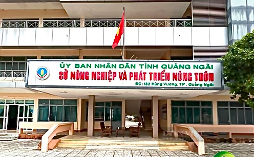 Quảng Ngãi: Rà soát lại cơ sở pháp lý để xem xét quyết định đơn vị quản lý đập dâng 1.500 tỷ- Ảnh 2.