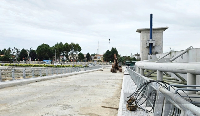 Quảng Ngãi: Rà soát lại cơ sở pháp lý để xem xét quyết định đơn vị quản lý đập dâng 1.500 tỷ- Ảnh 3.