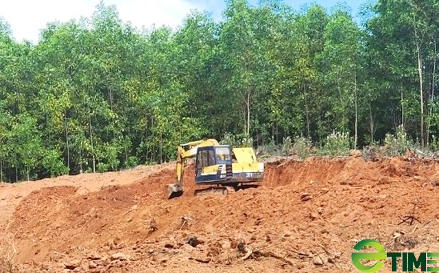 Quảng Ngãi: Chính quyền xã buông lỏng quản lý vụ khai thác, vận chuyển đất trái phép gò Màng Tang?- Ảnh 3. Quảng Ngãi: Chính quyền xã buông lỏng quản lý vụ khai thác, vận chuyển đất trái phép gò Màng Tang?- Ảnh 3.