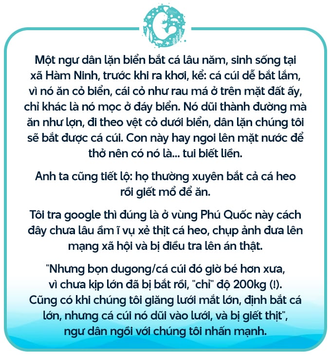 Xẻ thịt “nàng tiên cá”, mổ bụng moi trứng rùa biển (Bài 2): Họ thừa nhận buôn bán, tàng trữ thịt xương "nàng tiên cá"- Ảnh 4.