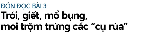 Xẻ thịt “nàng tiên cá”, mổ bụng moi trứng rùa biển (Bài 2): Họ thừa nhận buôn bán, tàng trữ thịt xương "nàng tiên cá"- Ảnh 13.