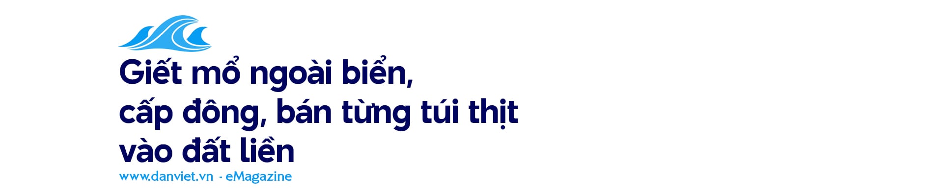Điều tra: Xẻ thịt "nàng tiên cá", mổ bụng moi trứng rùa biển- Ảnh 8.